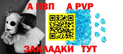 PSILOCYBIN Ярославль