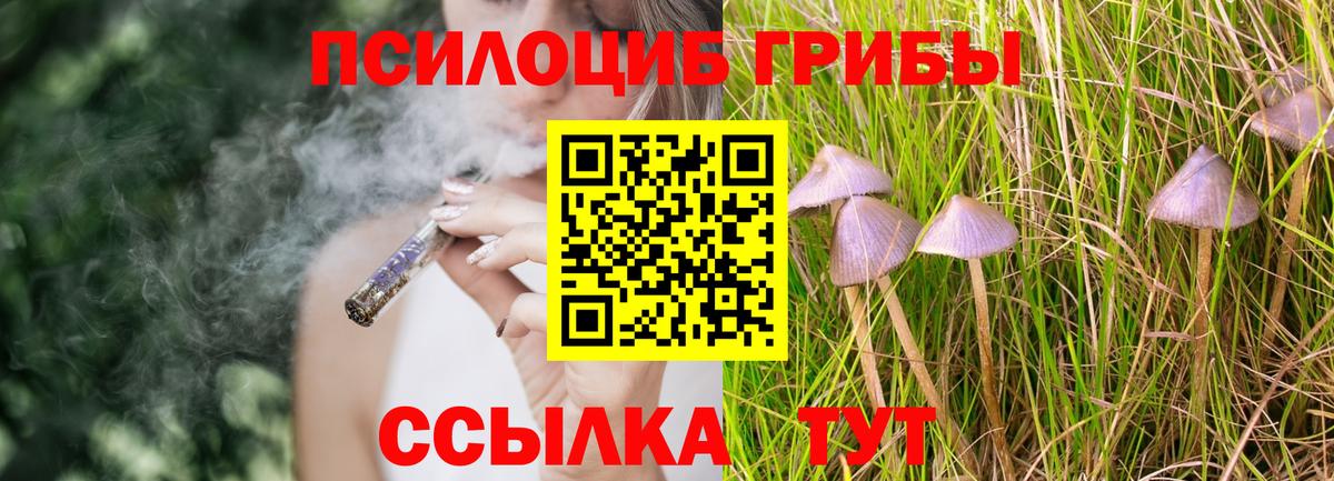 Майский  Галлюциногенные грибы мухоморы  Вход с VPN 